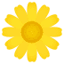 :blossom: :blossom: